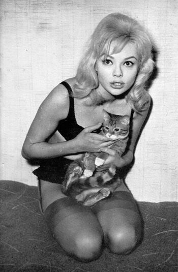 Vintage starlets page leaked private photo uncensored HD quality